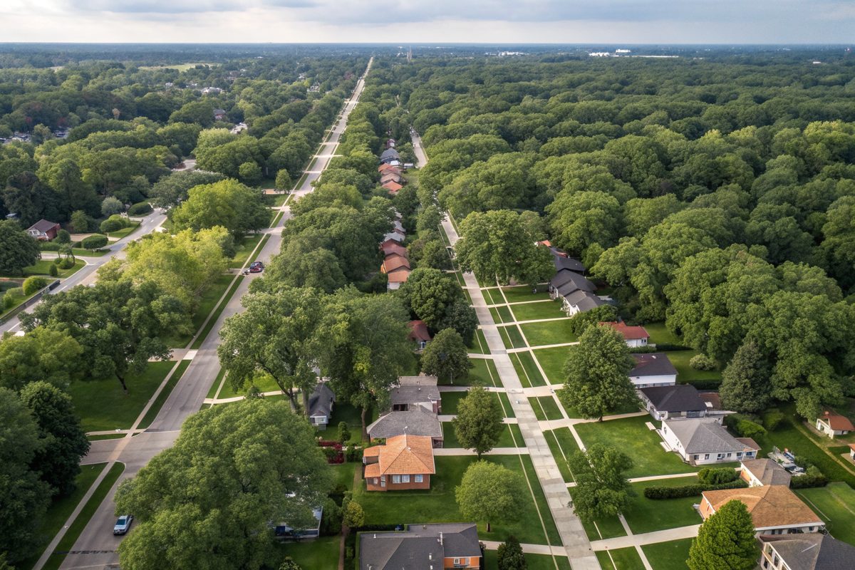 Aerial view of tree-lined residential streets of brick houses on a flat grid